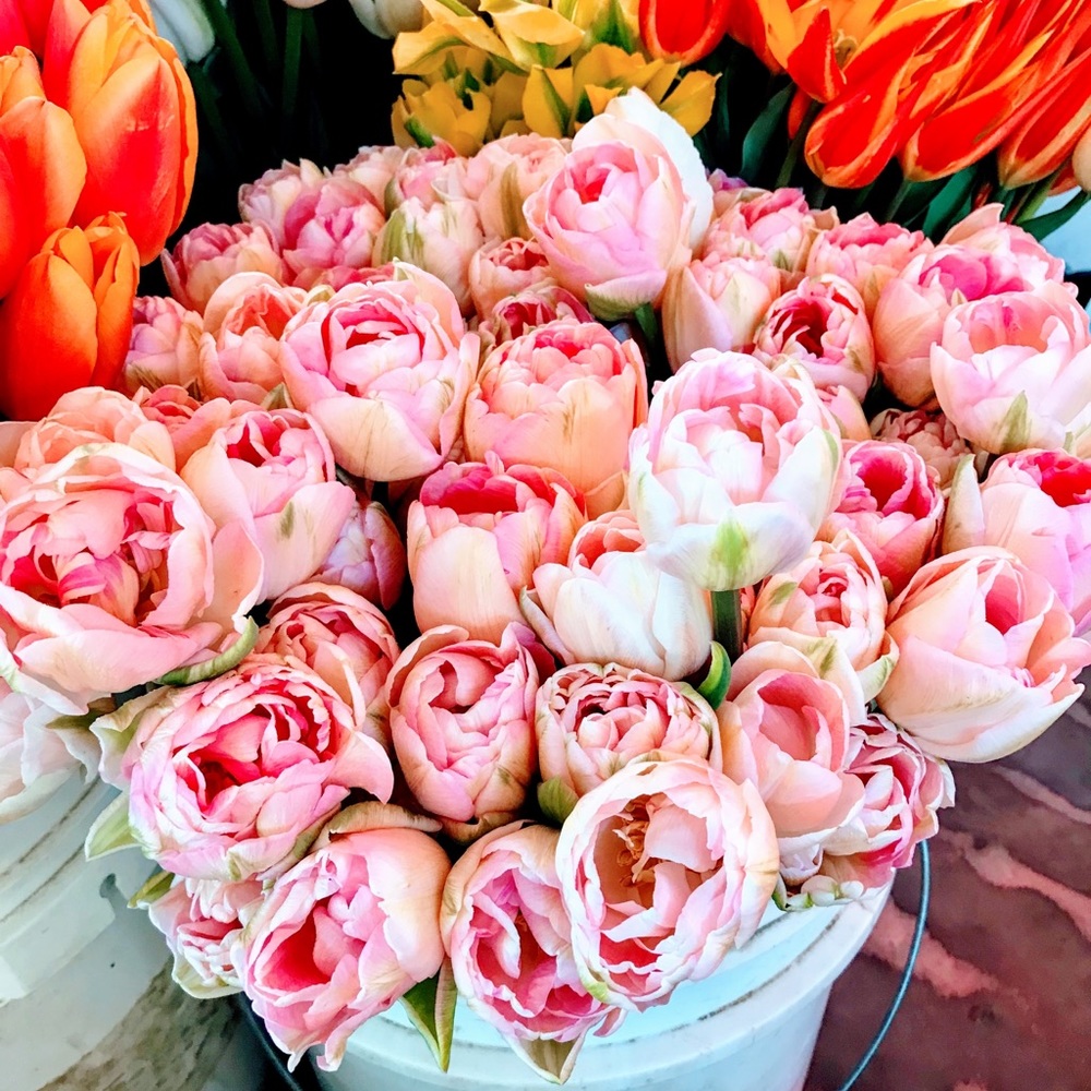 Peonies